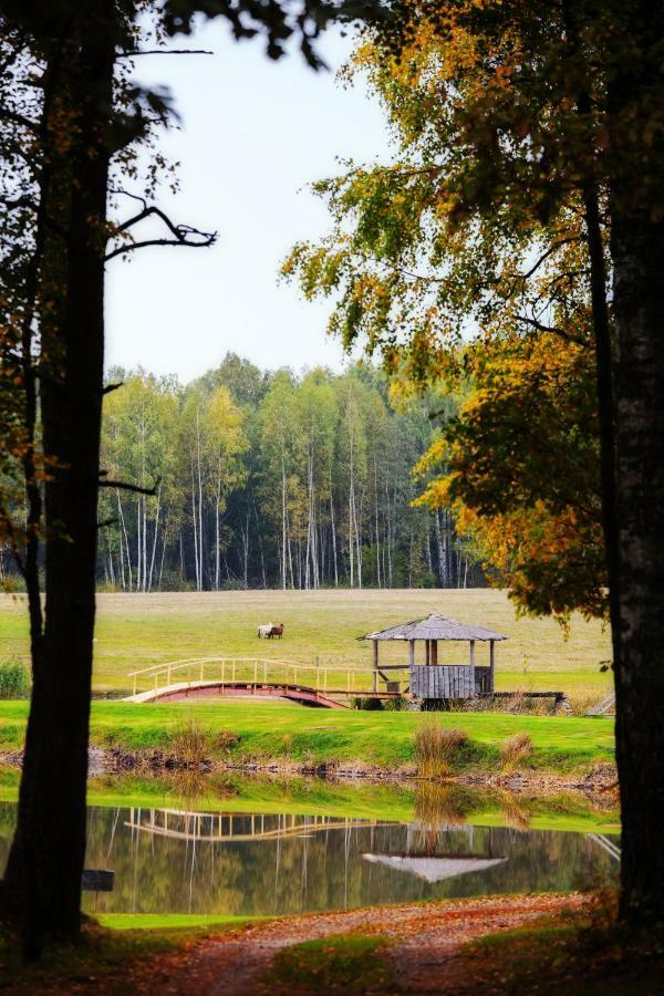 Country house Vieversyne