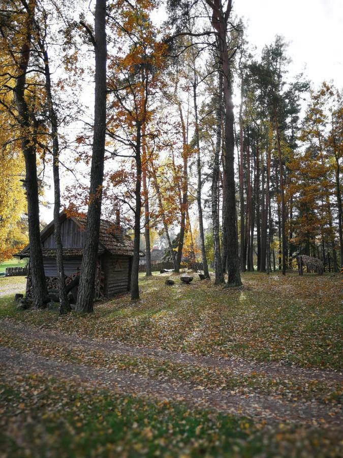 Country house Vieversyne Duokiskis