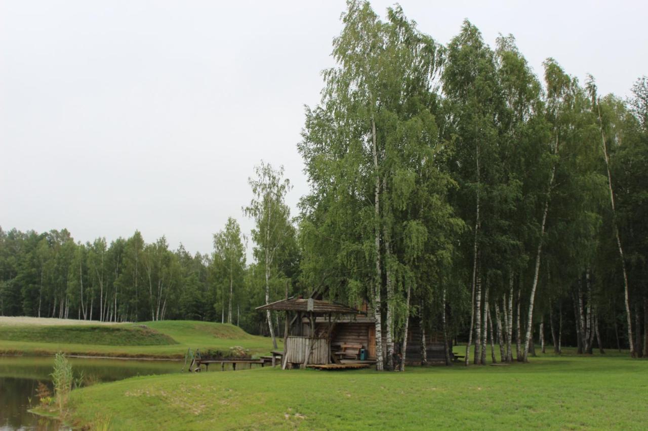 Vieversyne Country house