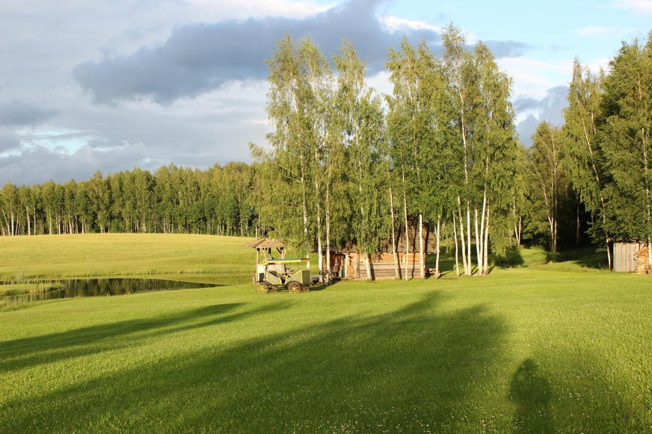 Vieversyne Country house Duokiskis